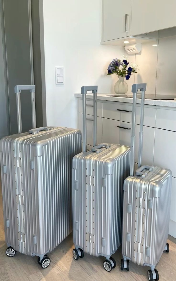 Silver Hardshell Spinner Suitcase - ARGENTO STORE
